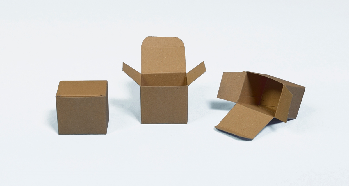 Pack And Move - 10 Zelfsluitende Dozen - Hoge Maximale Belasting - 60 X 50 X 40 Cm Pack And Move - 10 Zelfsluitende Dozen - Hoge Maximale Belasting - 60 X 50 X 40 Cm
